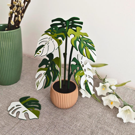 Monstera Coaster Set with Leaf Holes