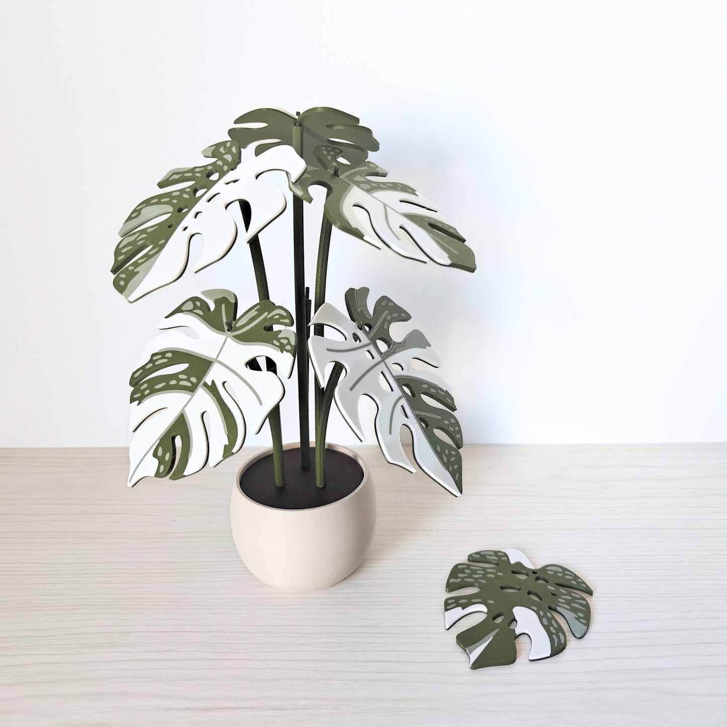 Set podmetača Monstera Thai