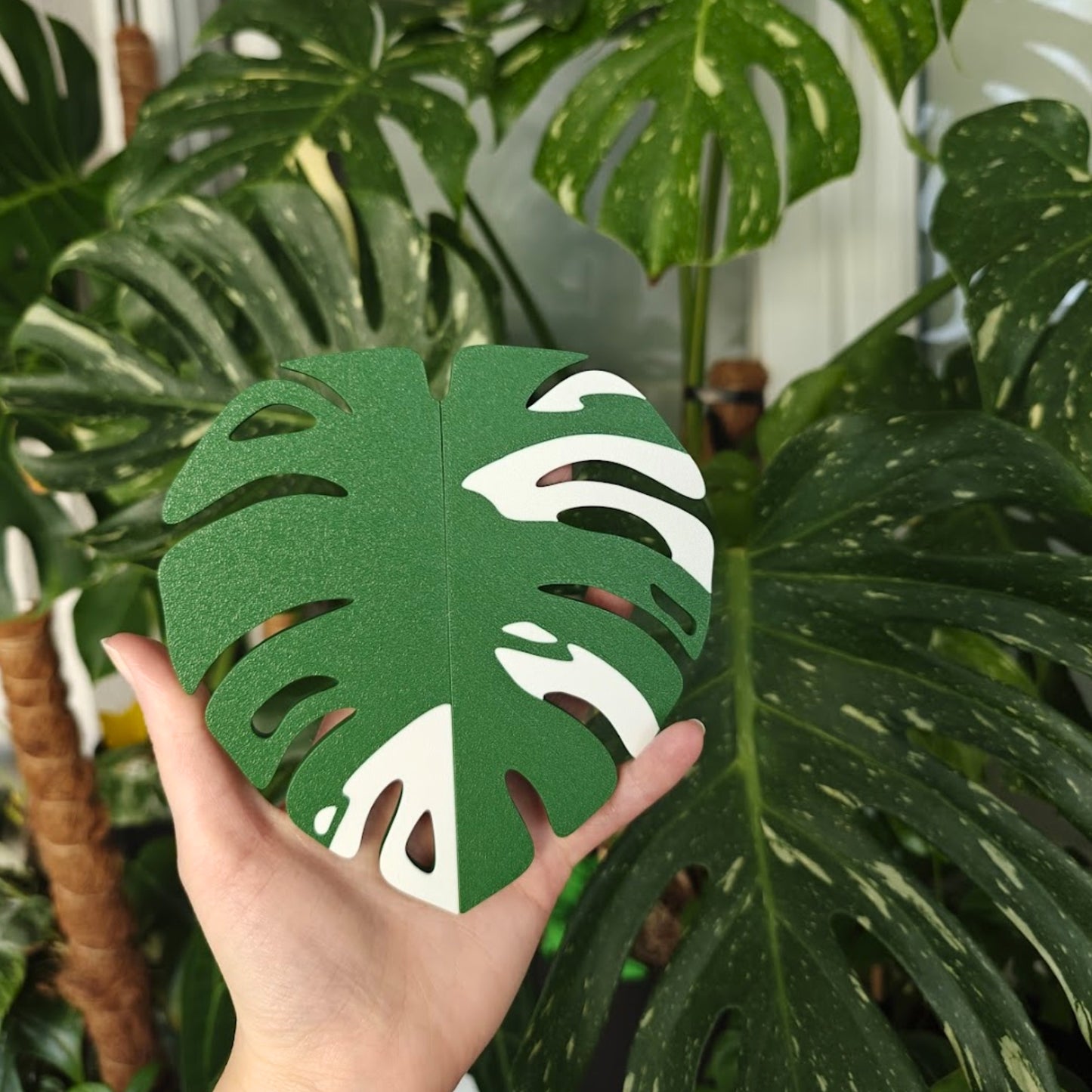 Monstera ručke za IKEA MILSBO ili RUDSTA vitrinu