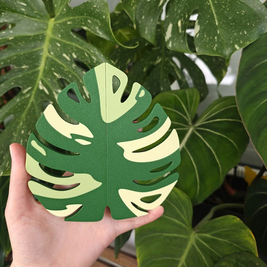 Monstera ručke za IKEA MILSBO ili RUDSTA vitrinu