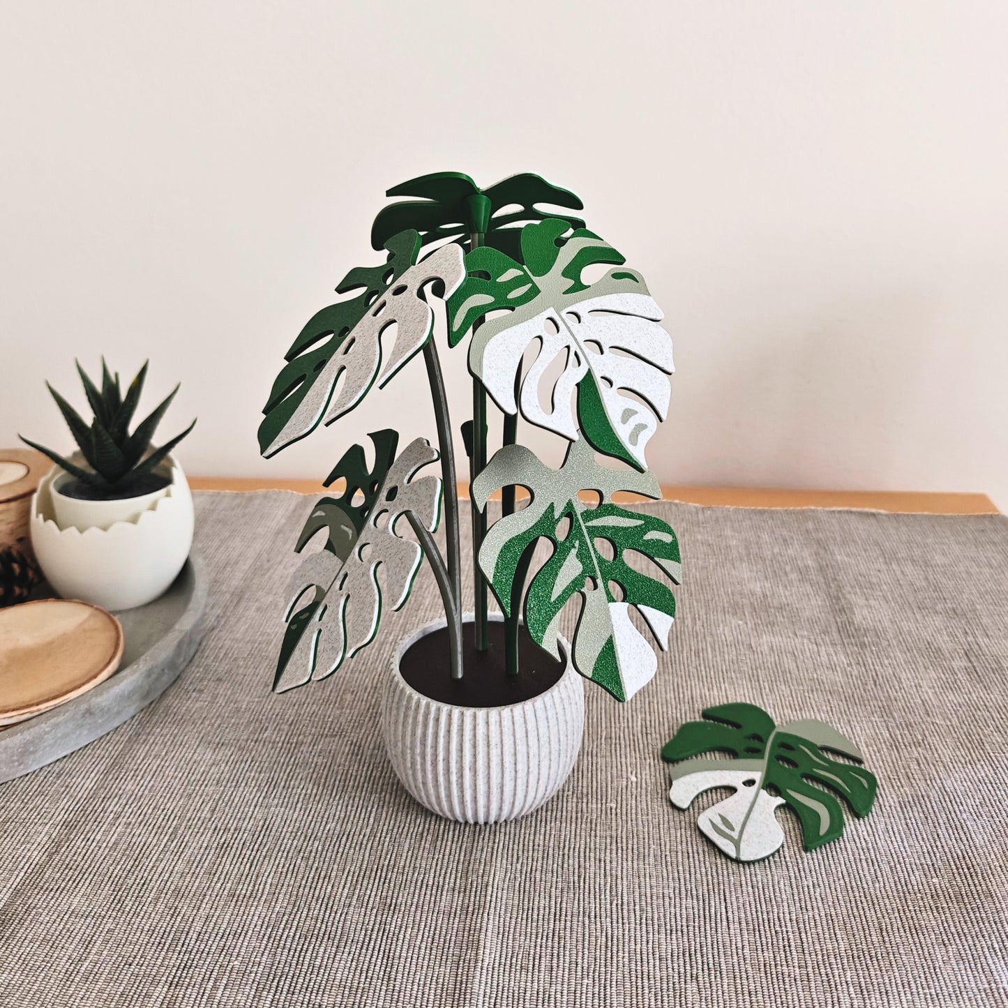 Set podmetača Monstera - listovi s rupicama