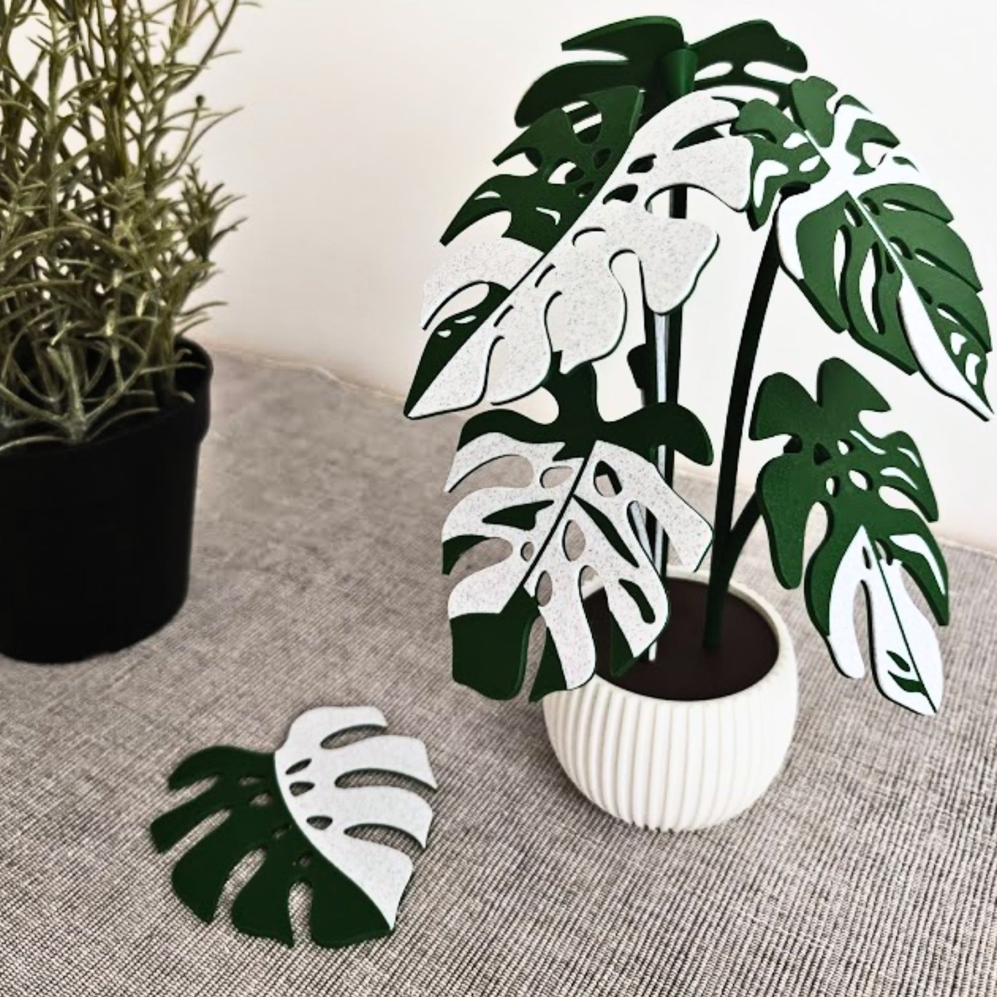 Set podmetača - monstera u dvije boje