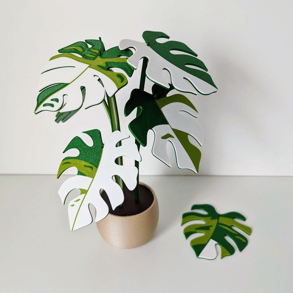 Set podmetača Monstera
