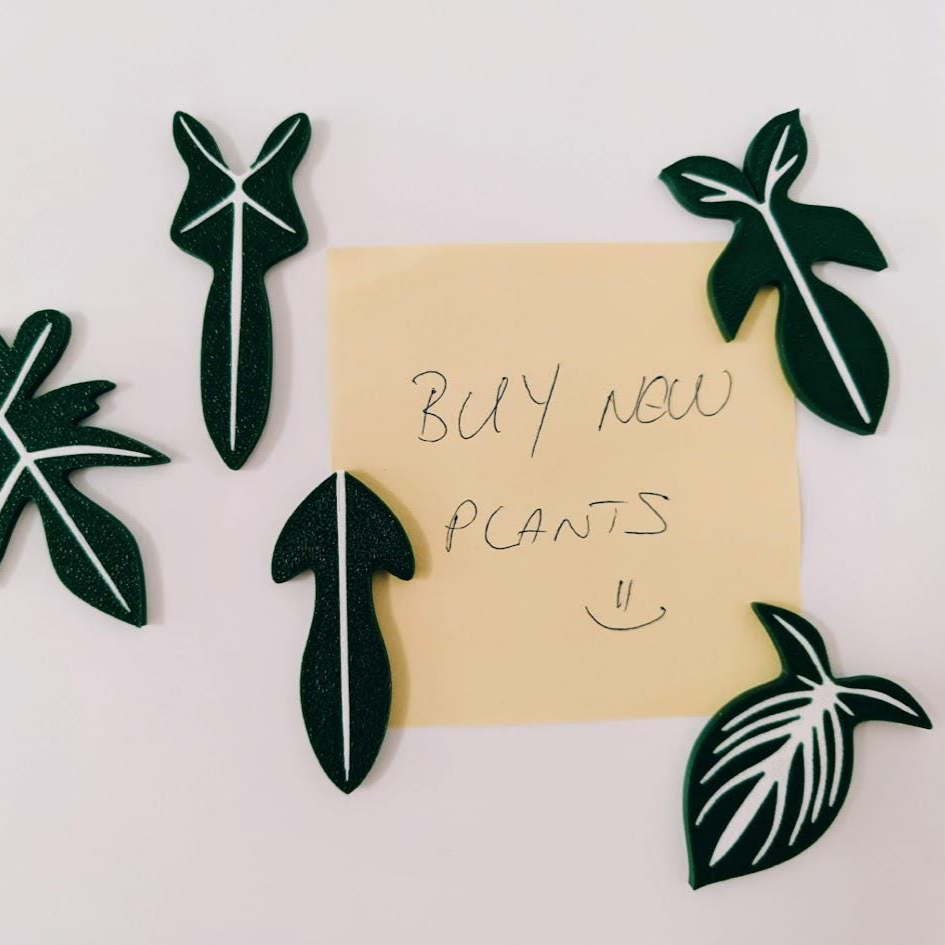 Philodendron magneti za hladnjak, set od 5 komada