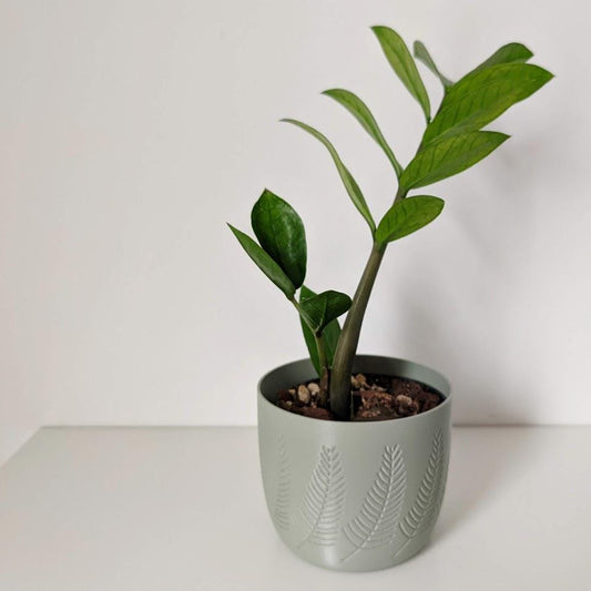 Pine Planter, Modern Plant Pot for Home Decor, 3d printed plant pot