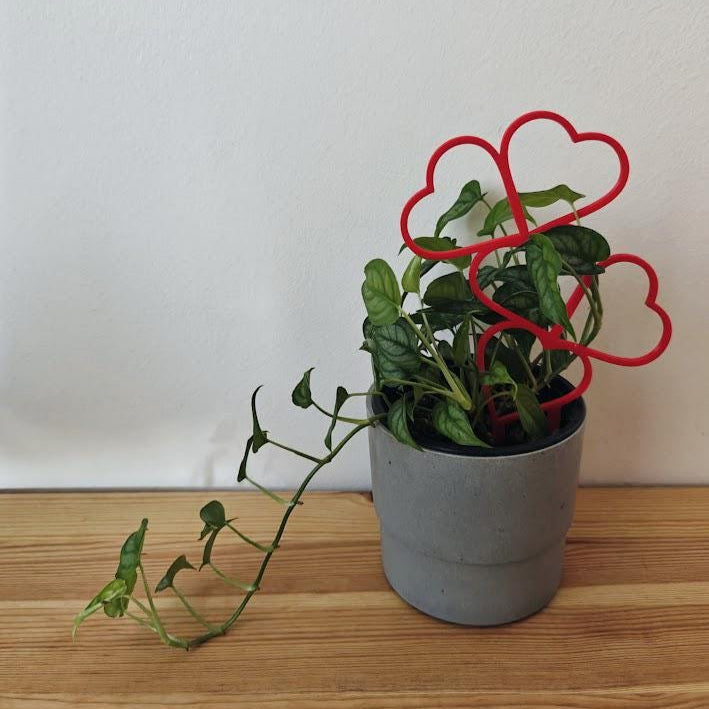 Heart Trellis, Valentine's Day Gift for Plant Lovers Gift for Valentines Day, Plant Support for Climbing Plants, Plant Stake, 3d print