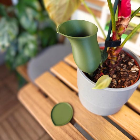 Water container in the shape of a Pitcher plant, Self-watering planter, Slow Release Watering for Indoor Plants, Irrigation and watering aid