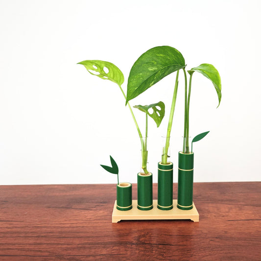 Bamboo Propagation Stand, Hydroponic Test Tube Holder, Rooting Vase with Plastic Vials, Cuttings Grow Station, 3D printed organizer