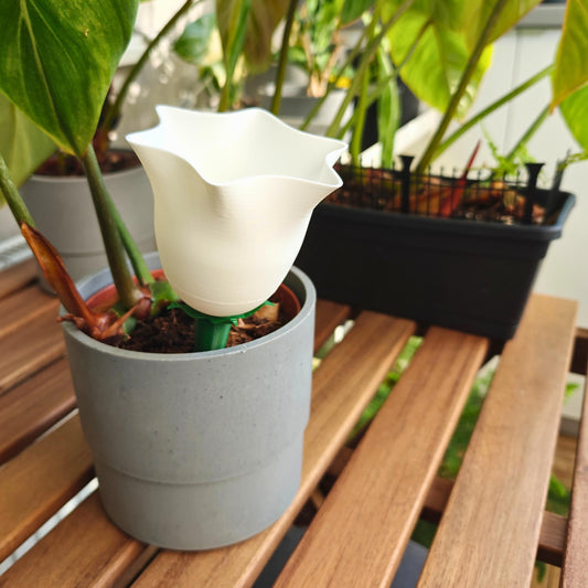 Bellflower Water Container, Self-watering planter, Slow Release Watering for Indoor Plants, Irrigation and watering aid
