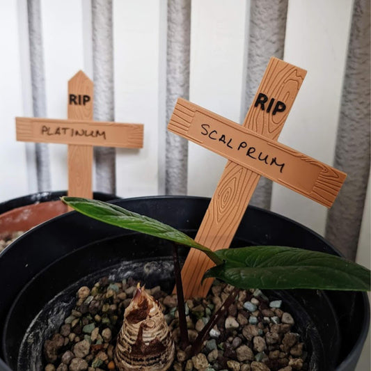 RIP Plant Markers, Set of 3 Graveyard Style Labels, Funny Halloween Garden Decor, Dead Plant Signs