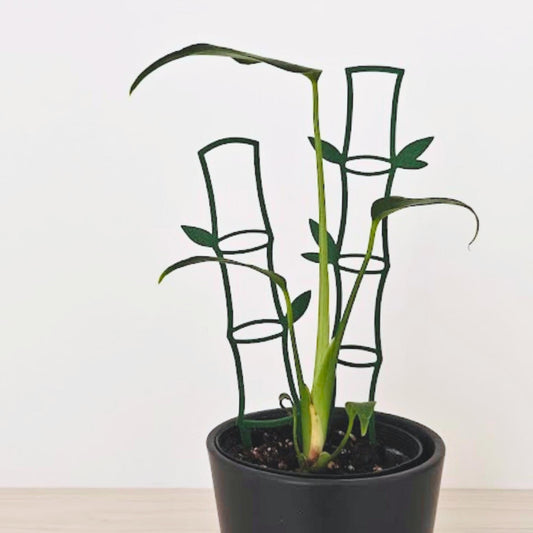 Bamboo Trellis, Decorative Vine Support for Indoor Climbing Plants, 3d Printed Plant Grid