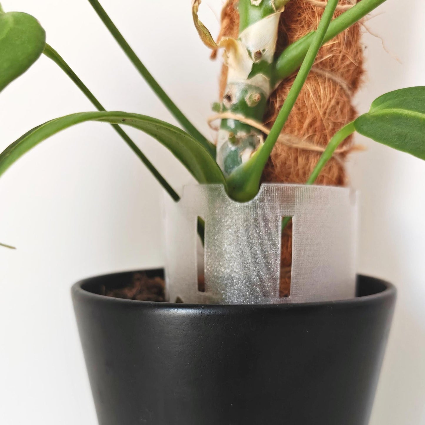 Plant Pot Extender for Anthuriums and Aroids, Stackable, Adjustable Extension for Moss or Soil, 3d print