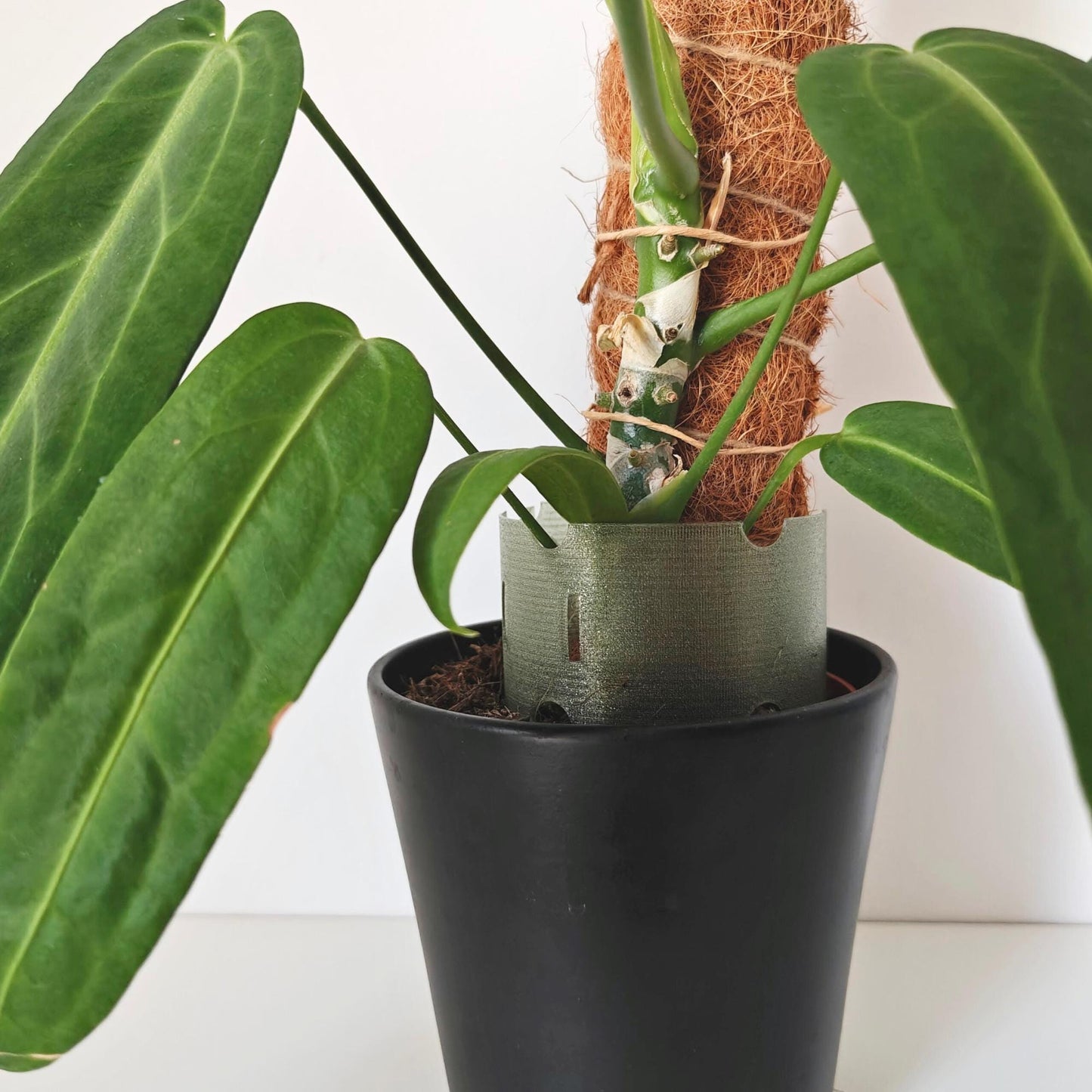 Plant Pot Extender for Anthuriums and Aroids, Stackable, Adjustable Extension for Moss or Soil, 3d print