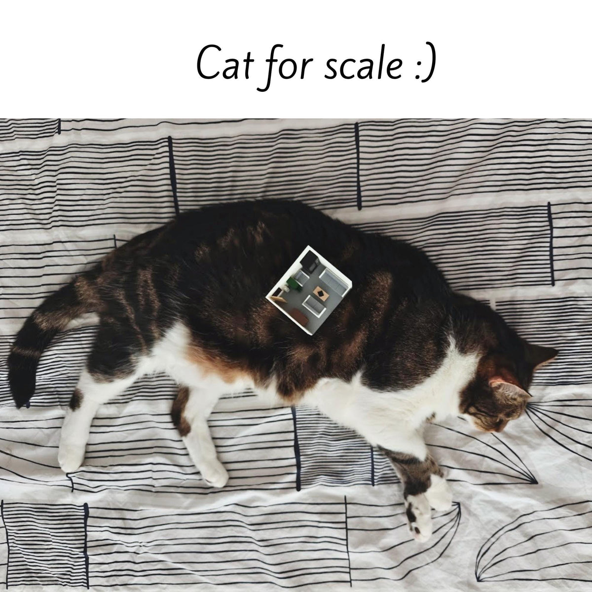 Miniature sofa placed on a cat for scale comparison showing tiny size