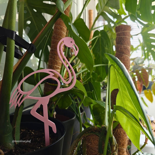 Flamingo Plant Stake, Pink Garden Decoration, Plant Support Trellis for Indoor Climbing Plants, 3d Printed Plant Grid