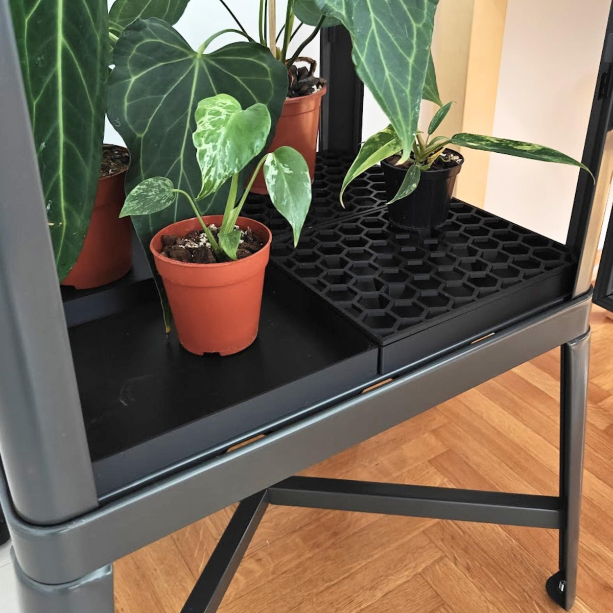 Drainage trays with honeycomb lids inside IKEA Fabrikor tall cabinet with plants
