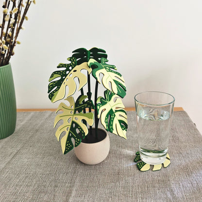 Set podmetača Monstera Thai 