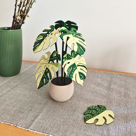 Set podmetača Monstera Thai 