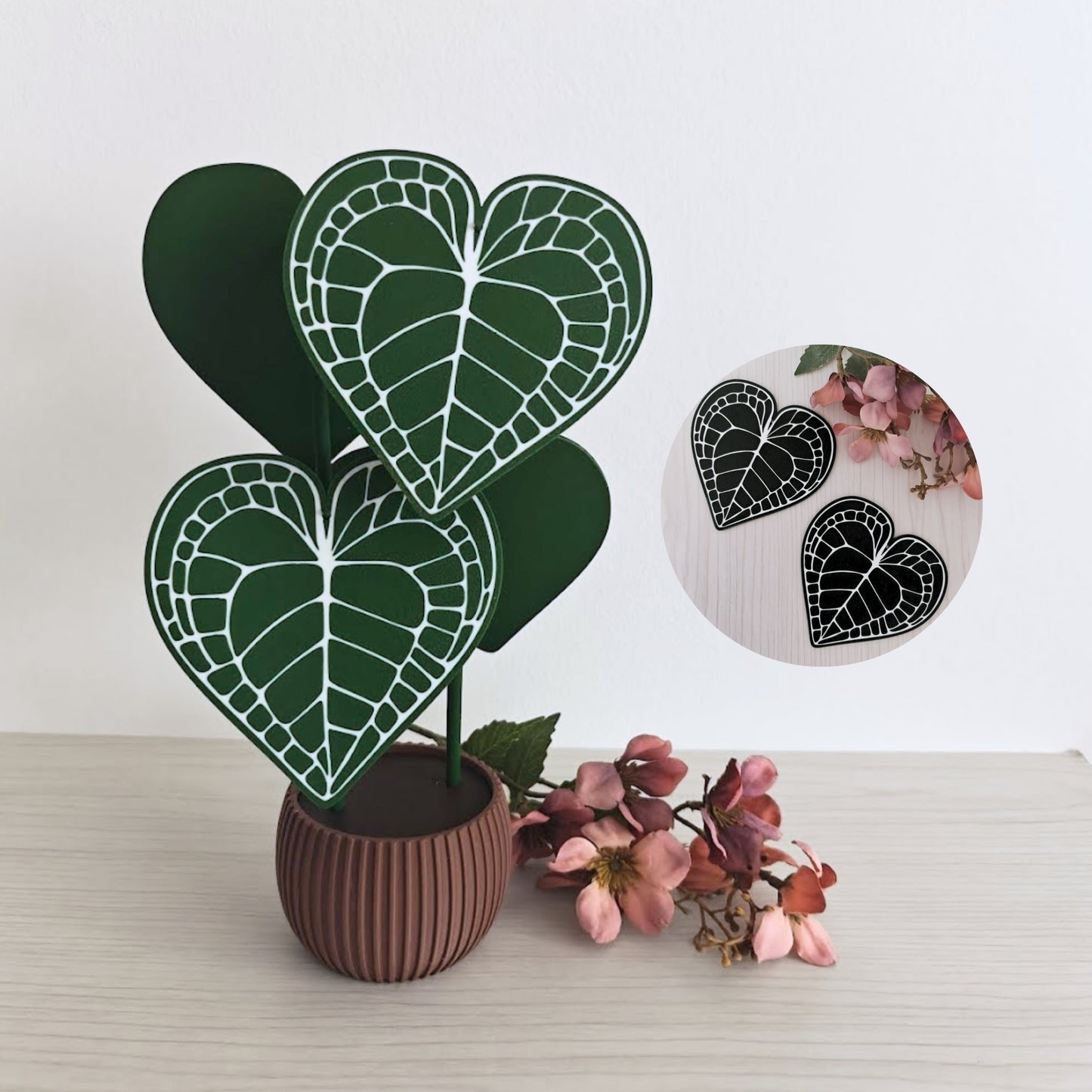 Anthurium Clarinervium set podmetača