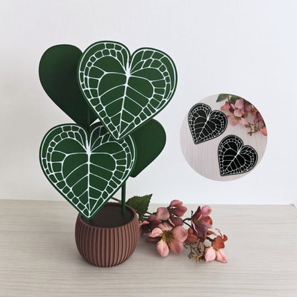 Anthurium Clarinervium set podmetača