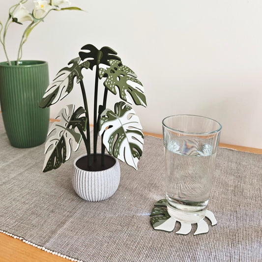 Set podmetača Monstera Thai 