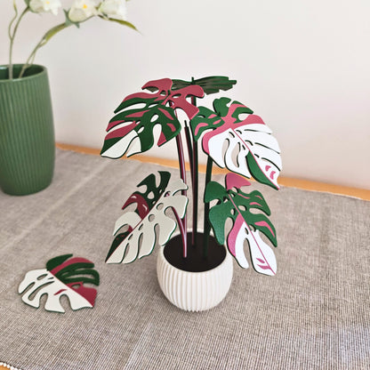 Set podmetača Monstera - listovi s rupicama
