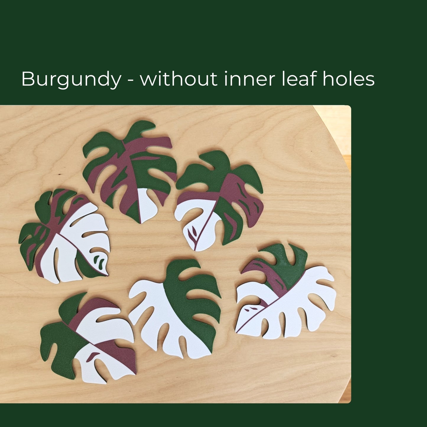 Set podmetača Monstera