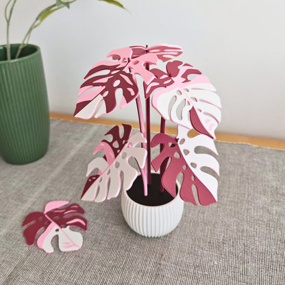 Set podmetača Monstera - listovi s rupicama
