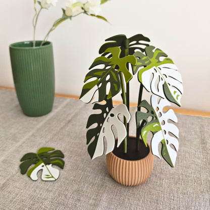Set podmetača Monstera - listovi s rupicama