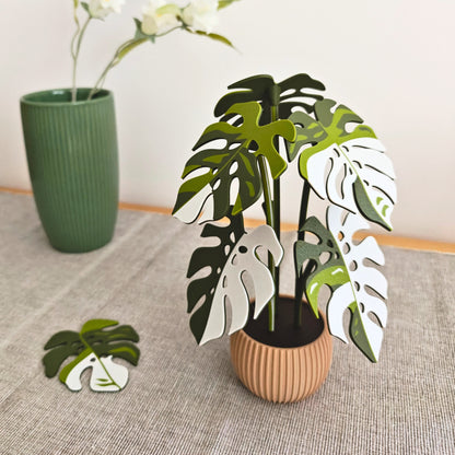 Set podmetača Monstera - listovi s rupicama