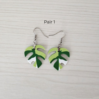 Naušnice Monstera Minima, Raphidaphora Tetrasperma