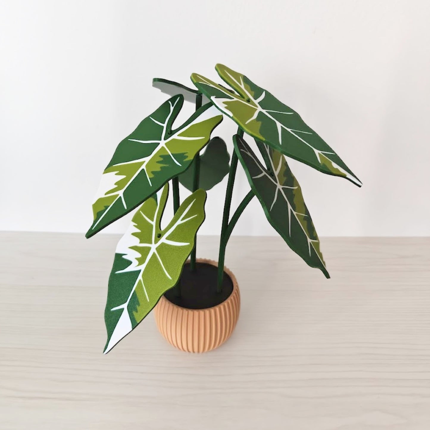 Set podmetača Alocasia Frydek