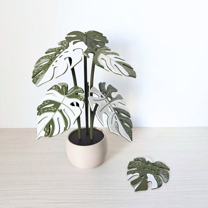 Set podmetača Monstera Thai 