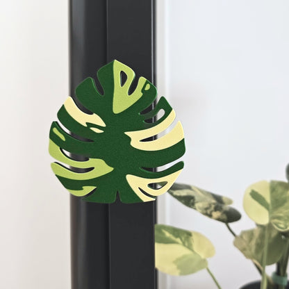 Monstera ručka za Fabrikor vitrinu