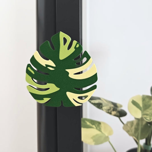 Monstera ručka za Fabrikor vitrinu