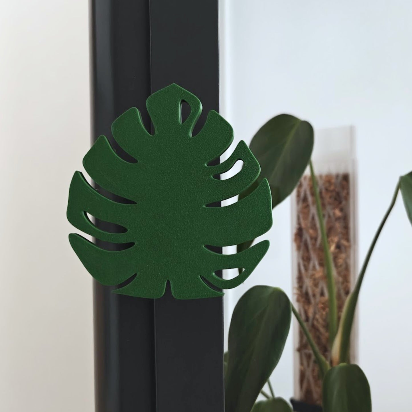 Monstera ručka za Fabrikor vitrinu