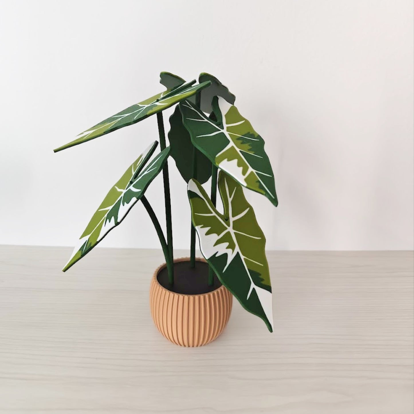 Set podmetača Alocasia Frydek