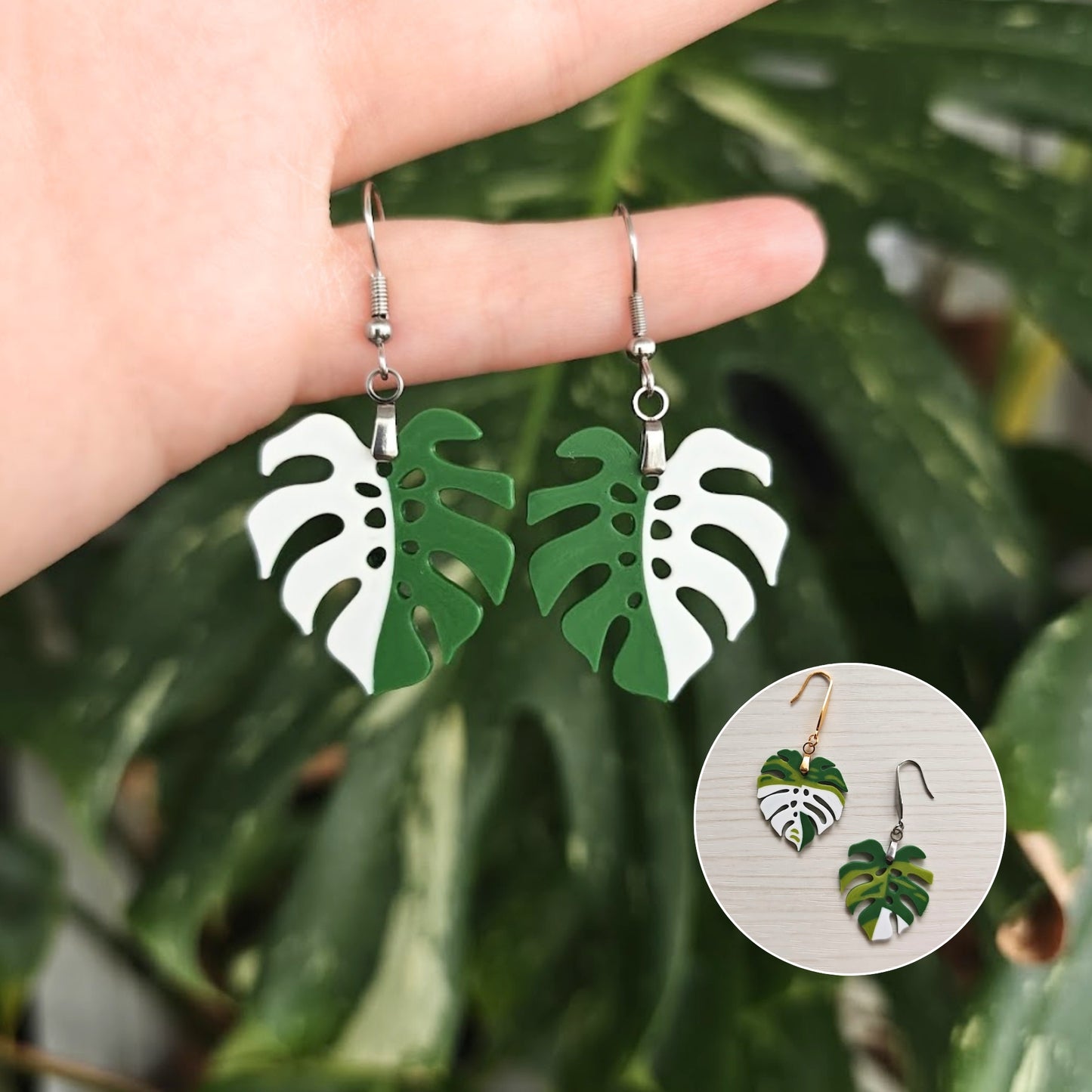 Naušnice Monstera, listovi s rupicama