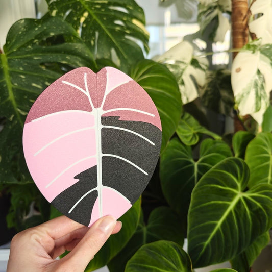 Alocasia ručke za IKEA MILSBO ili RUDSTA vitrinu