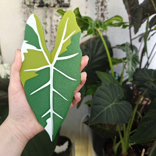 Alocasia Frydek ručke za IKEA MILSBO ili RUDSTA vitrinu