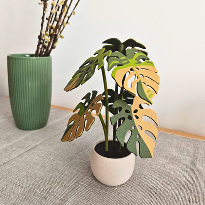 Set podmetača Monstera - listovi s rupicama