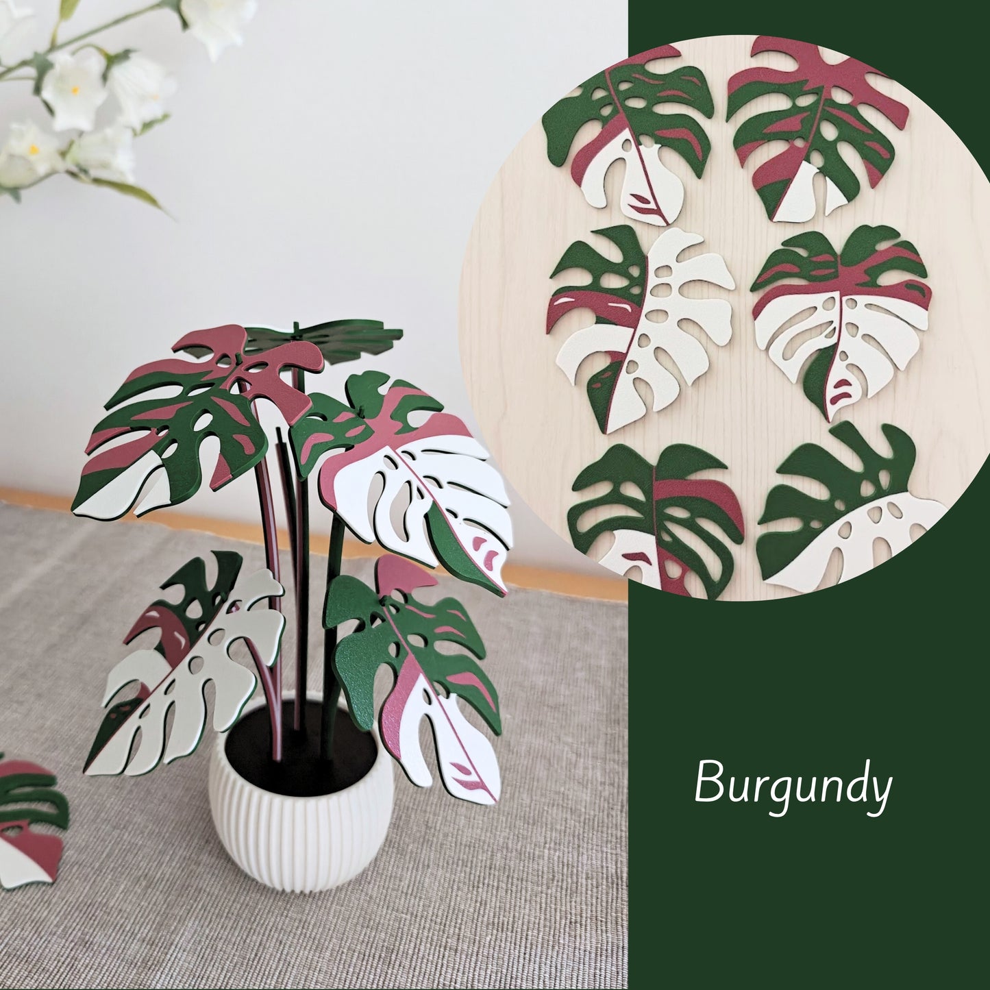 Set podmetača Monstera - listovi s rupicama