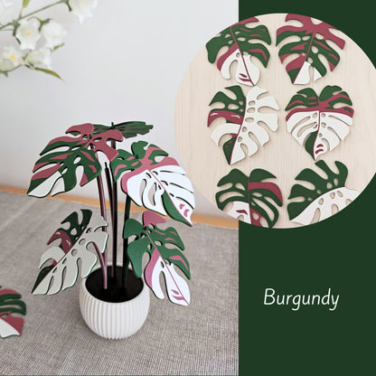 Set podmetača Monstera - listovi s rupicama