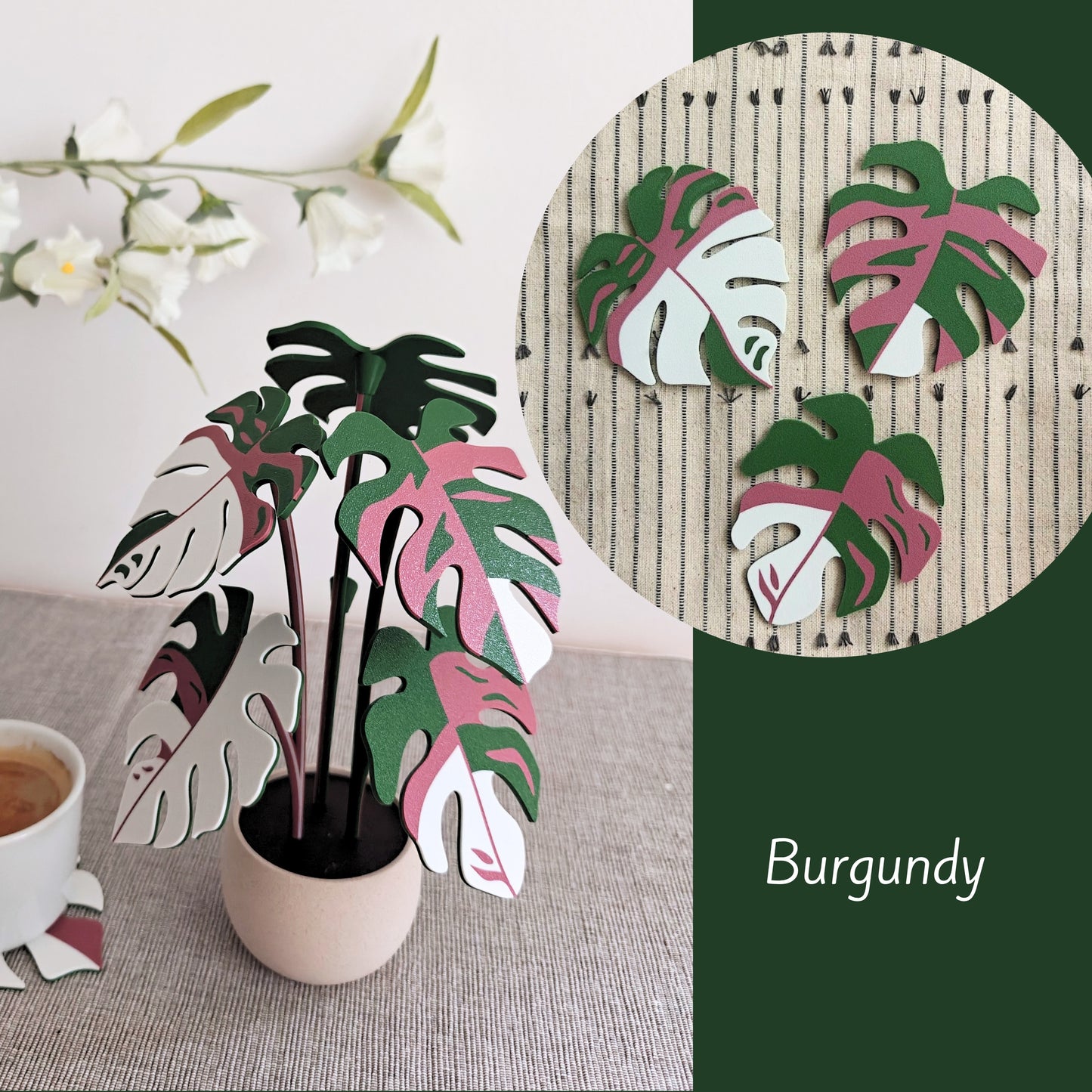 Set podmetača Monstera