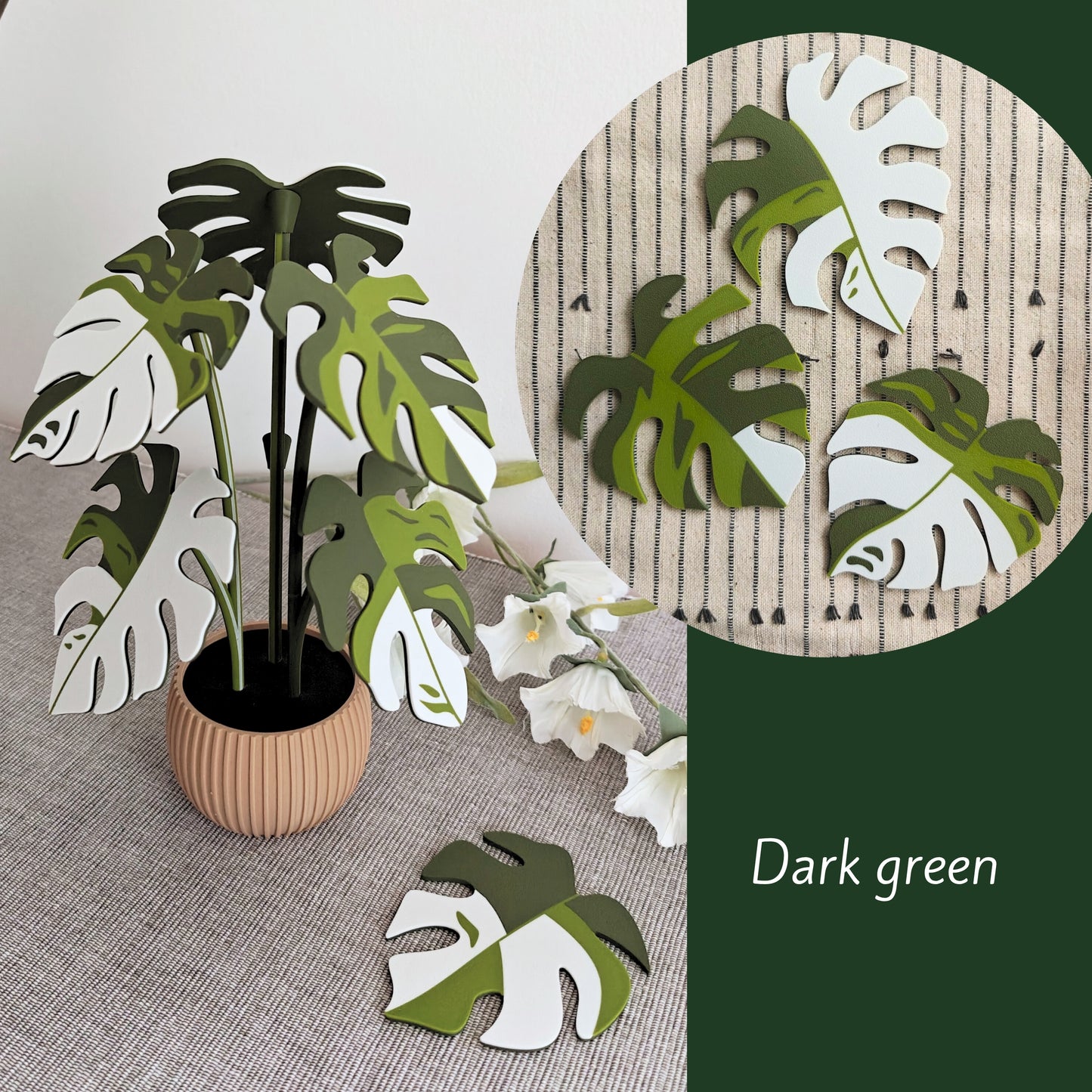 Set podmetača Monstera