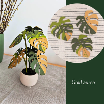 Set podmetača Monstera - listovi s rupicama