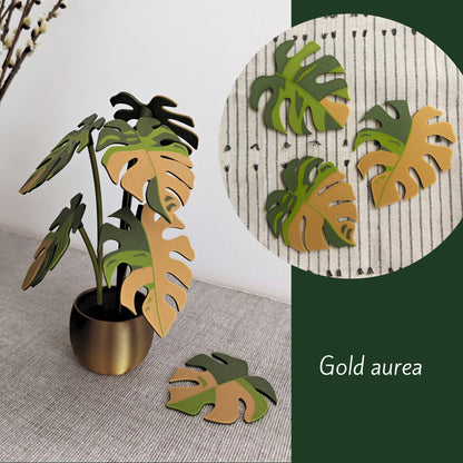 Set podmetača Monstera