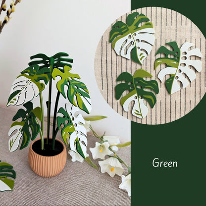 Set podmetača Monstera - listovi s rupicama