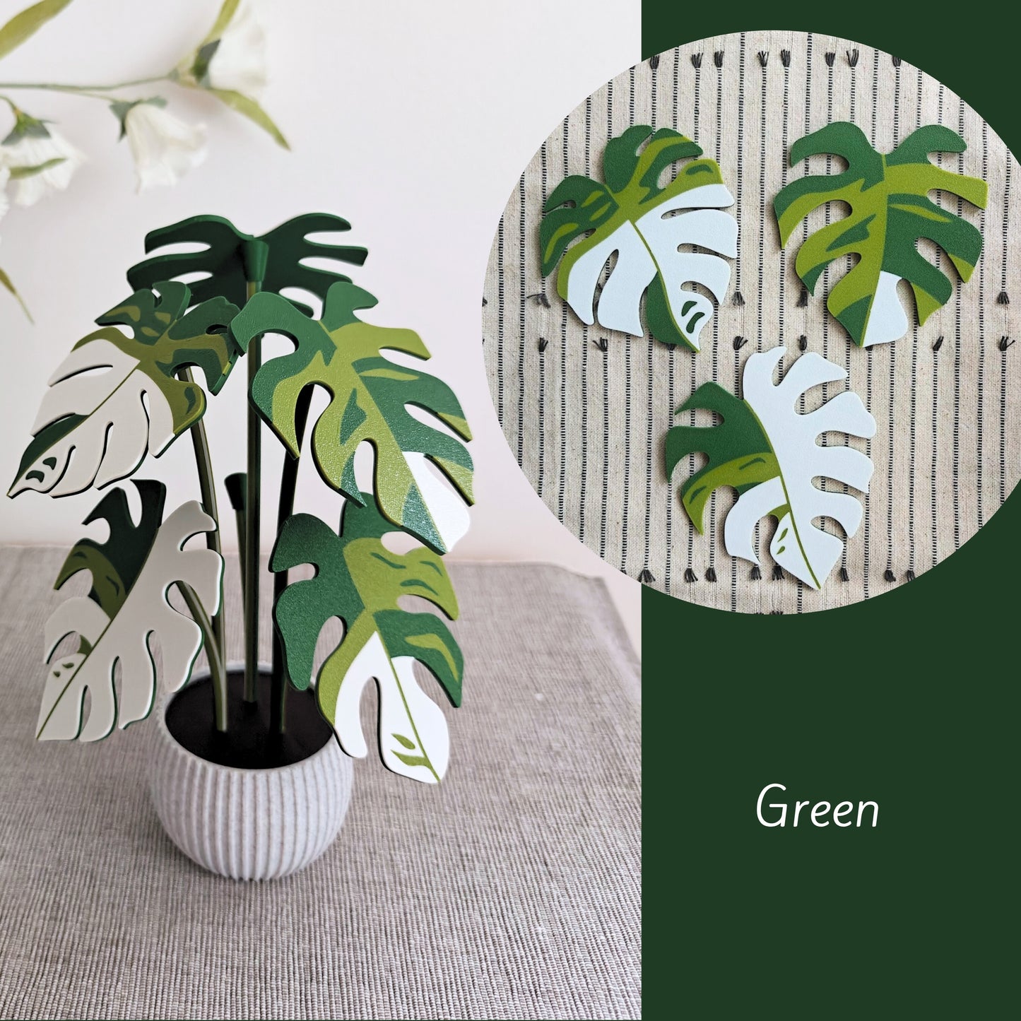 Set podmetača Monstera