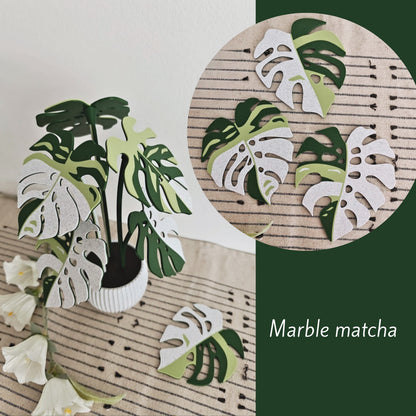Set podmetača Monstera - listovi s rupicama